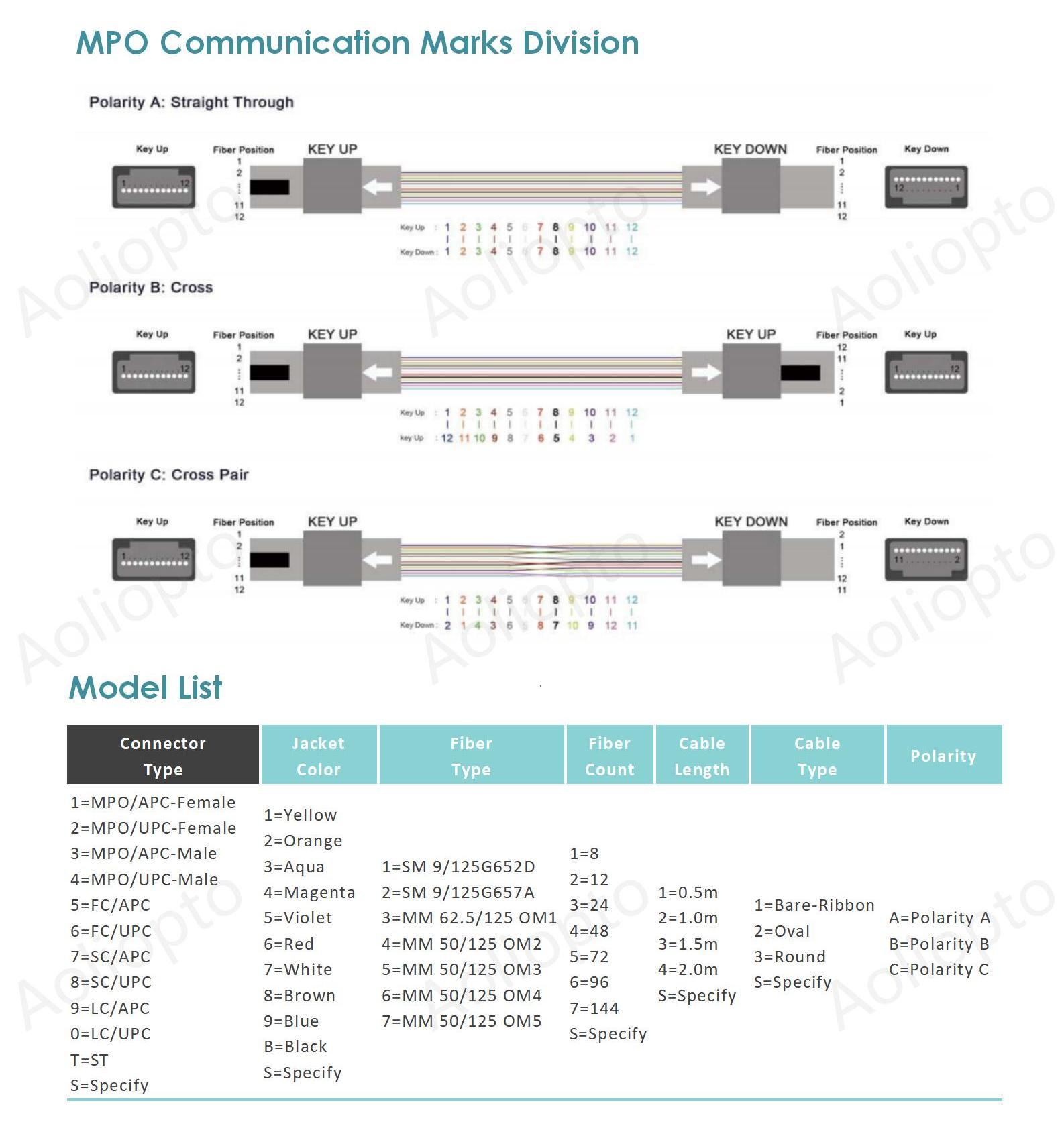 MPO Optical Patch Cord(图2)